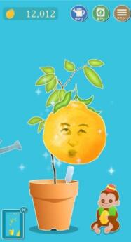 脸树